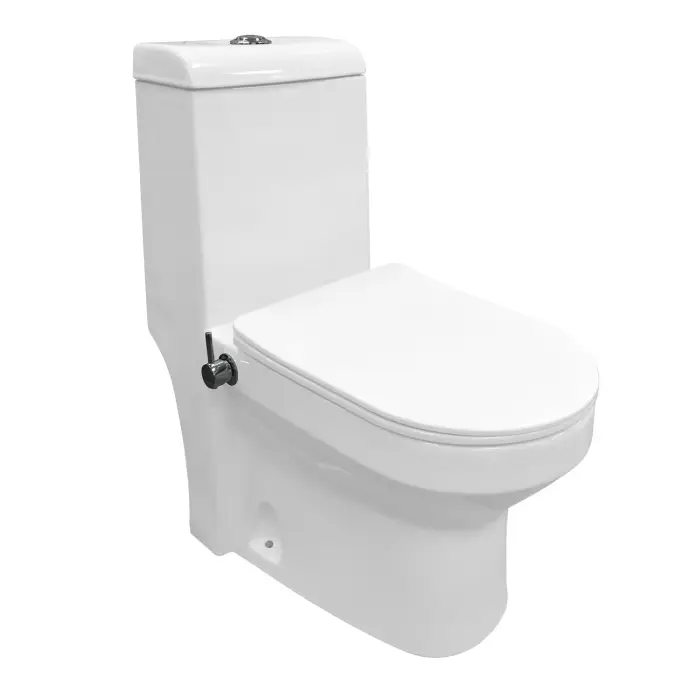 Унитаз-моноблок AZARIO BRUSCO 700x380x805 напольный, со встроенной функцией биде, в комплекте с сиденьем дюропласт микролифт (AZ-1085B)