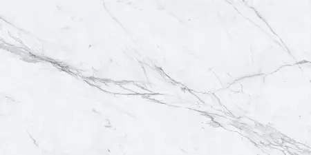 P231123006G STATUARIO EXTRA  (3)