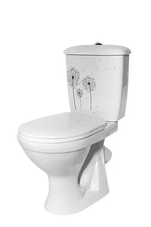 Суперкомпакт Одуванчик бок