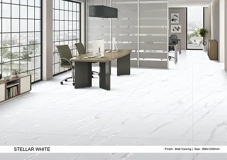 STALLAR WHITE PREVIEW_