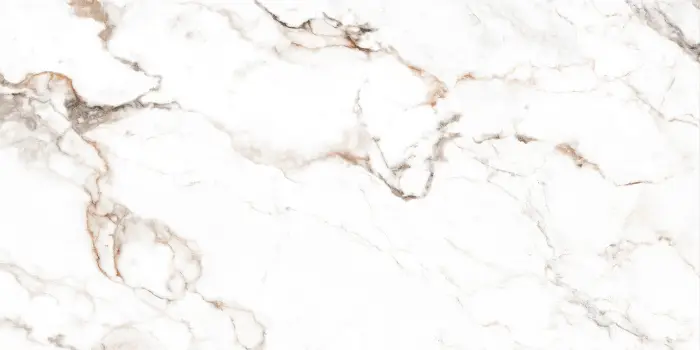 REGAL BORGHINI GREY_R4_