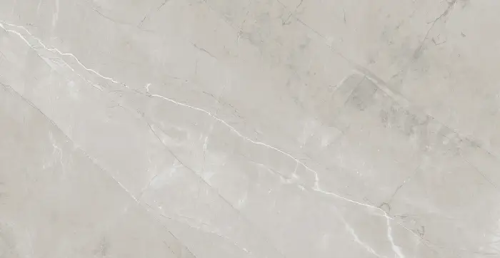 Плитка керамогранитная AZARIO VIVYEN GREY 60х120 Glossy (F4060821120G)