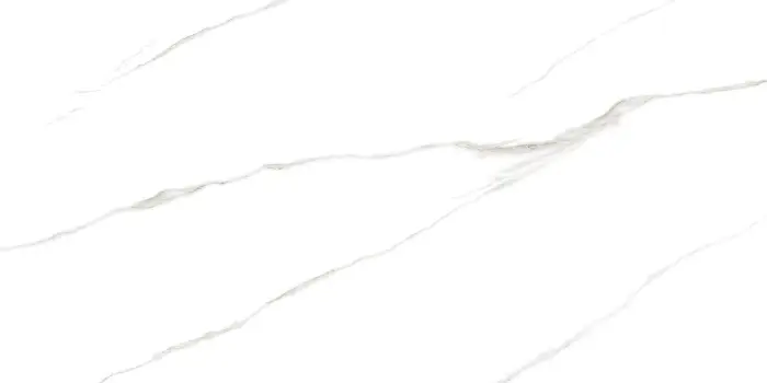 Плитка керамогранитная AZARIO SWISS CARARRA 60х120 Glossy (GBT750231)